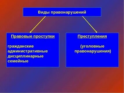 Какие правонарушения может вынести
