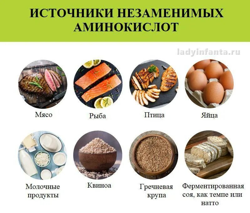 Незаменимые аминокислоты микроэлементы и. В каких продуктах содержится аминокислоты. незаменимые аминокислоты список продуктов. источники незаменимых аминокислот. продукты содержащие незаменимые аминокислоты.