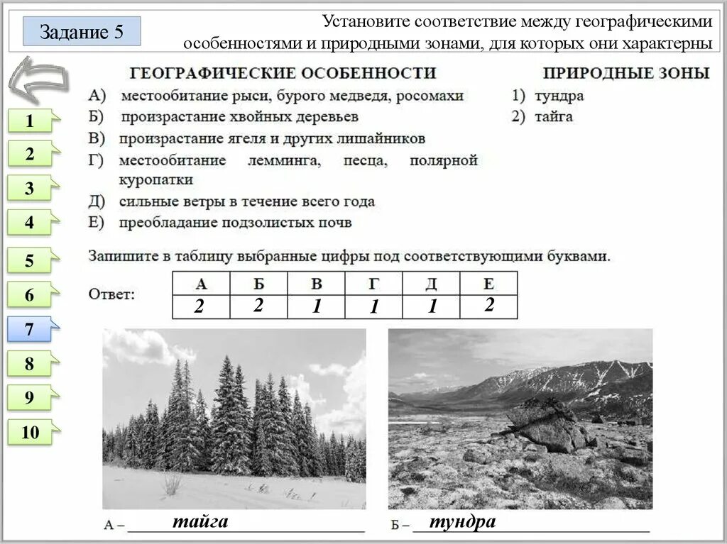 Задания по географии. Задания по природным зонам. География задания. Задания на соответствия по географии.