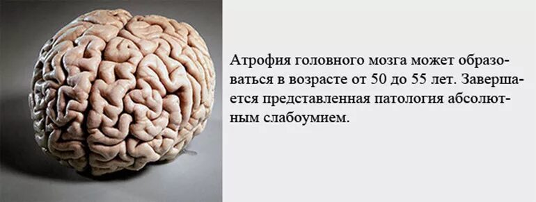 Атрофия головного мозга продолжительность. Атрофия коры головного мозга. Атрофические процессы головного мозга.