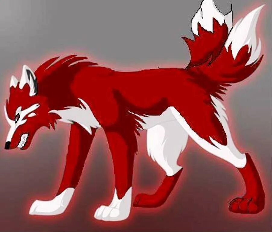 красный волк на белом фоне. красный волк для клана. бордовый волк. игра красный волк. красный волк марвел.
