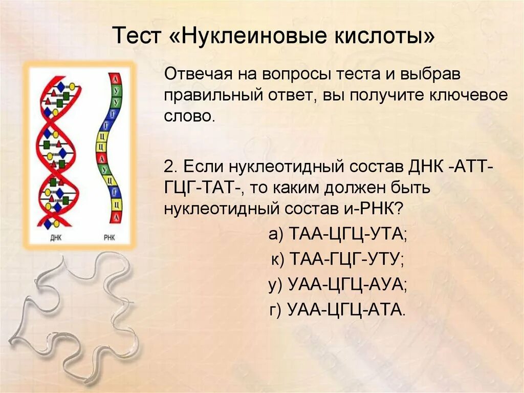 Нуклеиновые кислоты тест