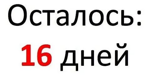 Сколько осталось дней до 13 ноября 2024