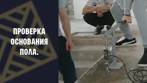 Проверить пол