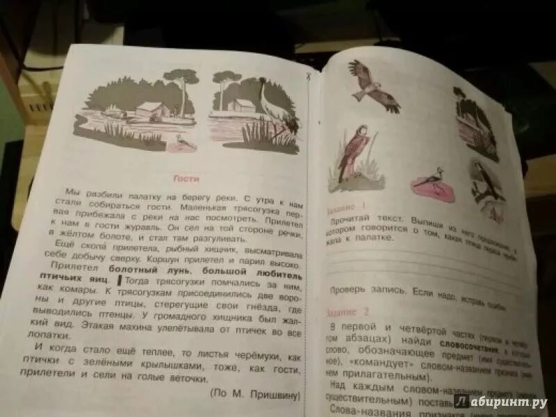 Комплексная работа 3 класс 2025 год. Итоговая комплексная работа чуракова. чуракова комплексная рабо а. итоговая работа 2 класс чуракова. итоговая комплексная работа на основе единого текста.