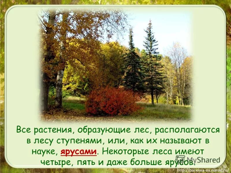 Над глухою степью в неизвестный