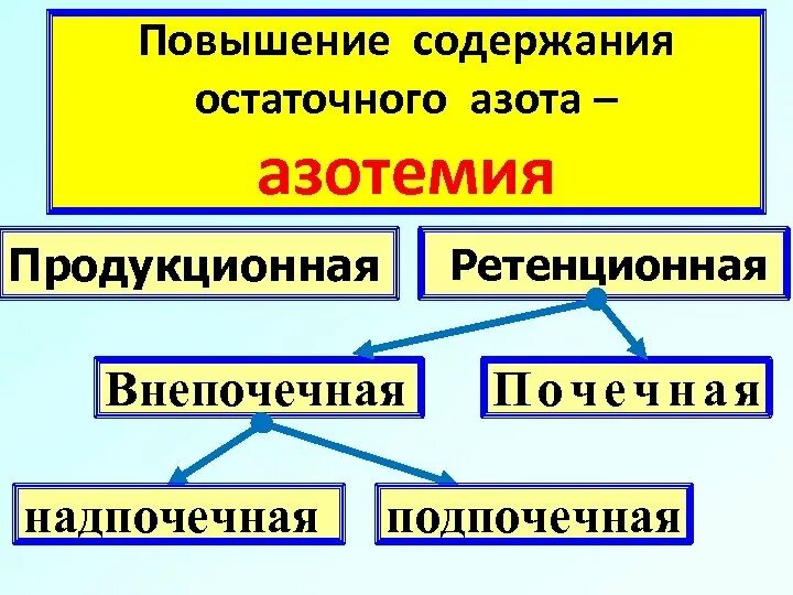 Ретенционная азотемия. Ретенционная и продукционная азотемия. Внепочечная азотемия. Внепочечная ретенционная азотемия. Почечная азотемия