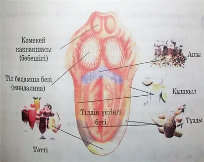 Азиялық куннилингус