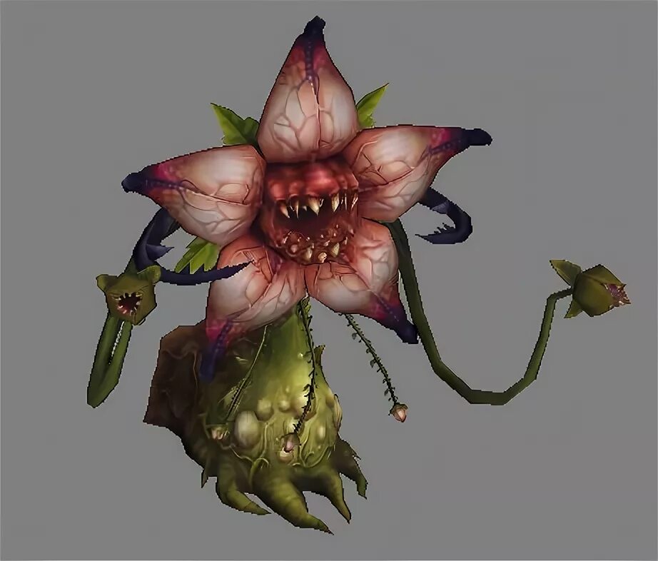 цветы мухоловки мутанты. венерина мухоловка цветок. венерина мухоловка монстр. днд монстр растение. цветок хищник венерина мухоловка.