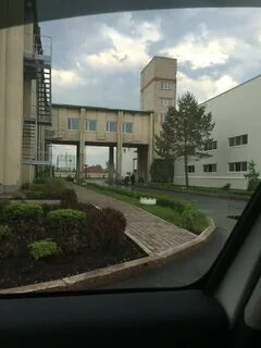 Plant ltd