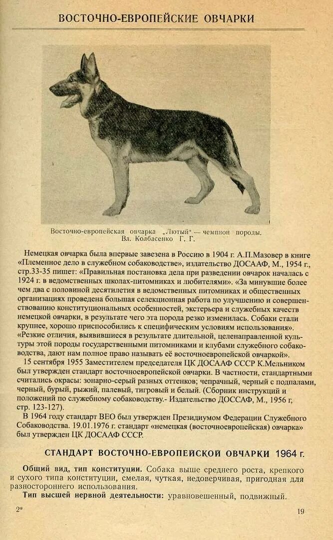 Восточно европейская овчарка параметры породы. Стандарт породы немецкая овчарка вес. Вес Восточно-европейской овчарки взрослой. Восточно-европейская овчарка вес взрослой собаки. Сколько весит овчарка в год