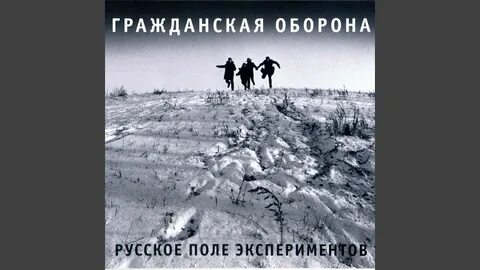 Летов в поле