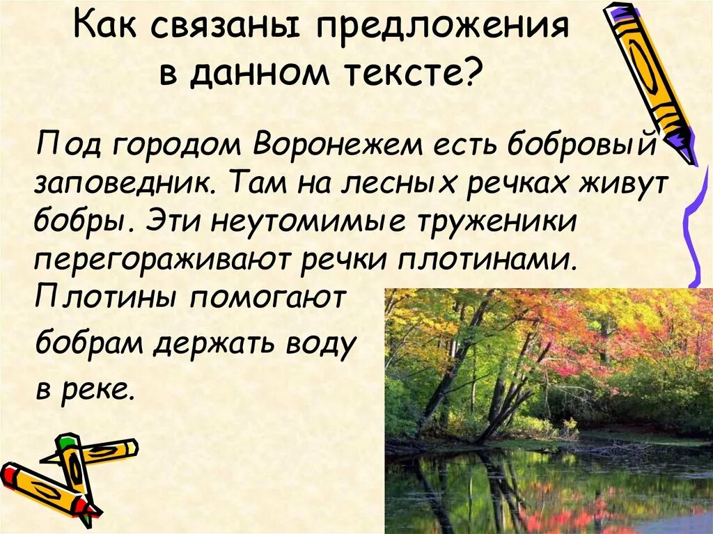 Предложение с бобром. Как связаны предложения в тексте. Под городом Воронежем есть Бобровый заповедник. Как связаны предложения в тексте 5 класс. Как могут связаны предложения.