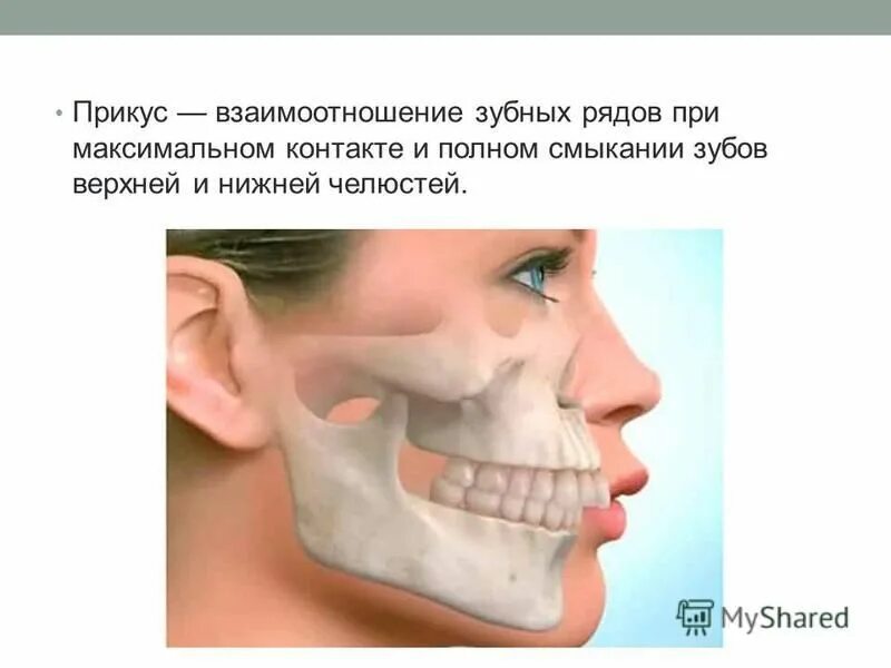 Правильное расположение челюсти и зубов у человека Мезиальный прикус у звезд 9 знаменитостей, которые сделали пластику. mir-dom2.