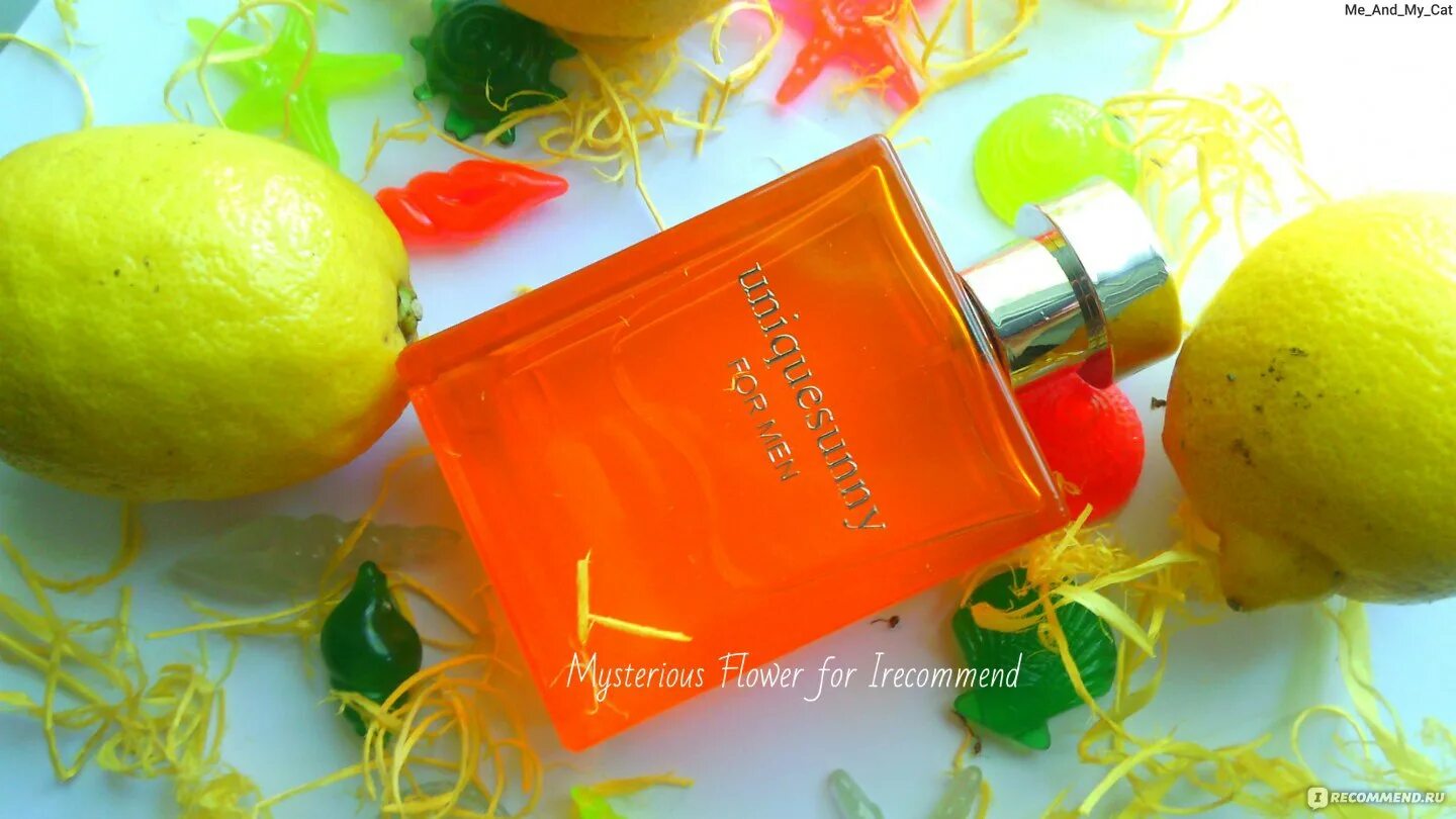 Unique sunny. Dilis la vie unique Sunny men 100 ml. Духи Uniquesunny for men. Туалетная вода для мужчин "unique Sunny" 100мл Dilis /12/ m. Парфюм Dilis unique Sunny мужской.