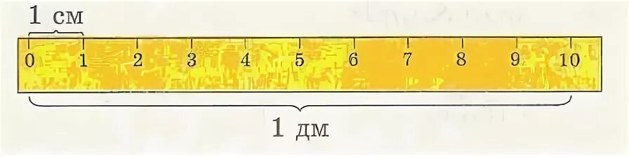 Десять см