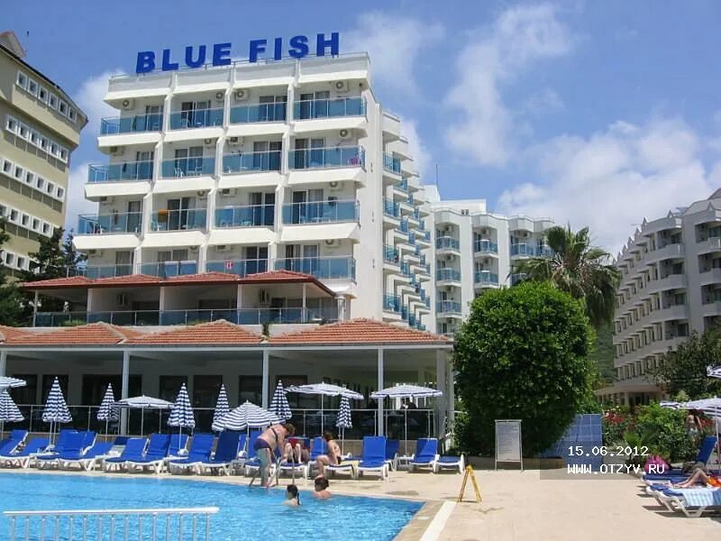 Blue fish hotel 4 турция аланья. Блю Фиш Турция. Отель Блю Фиш Турция Аланья. Blue Fish Hotel 4 Турция. Блю Фиш отель Турция Аланья 4.