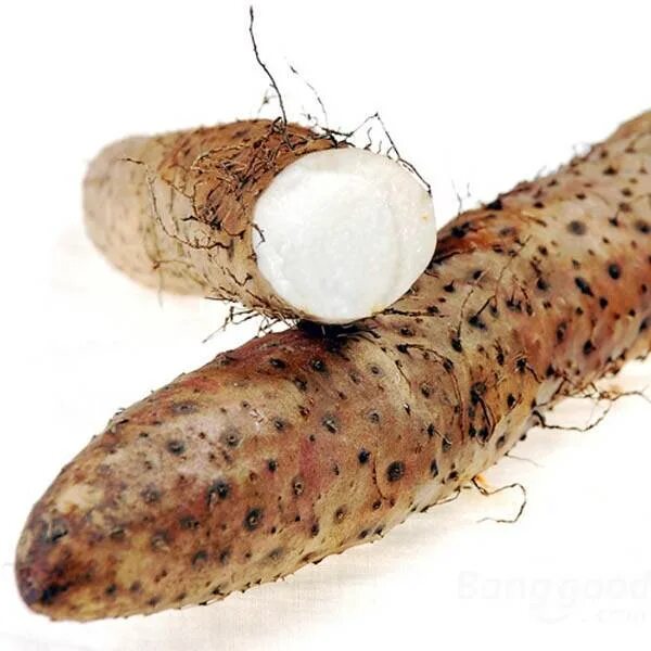 съедобные клубни тропиков 6