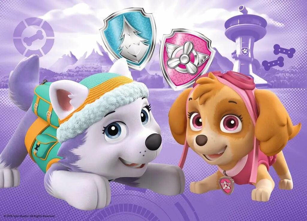 Щенячий патруль Скай и Эверест. Paw Patrol Skye Everest. Paw Patrol Скай и Эверест. Щенок Эверест Щенячий патруль. Собранные скай