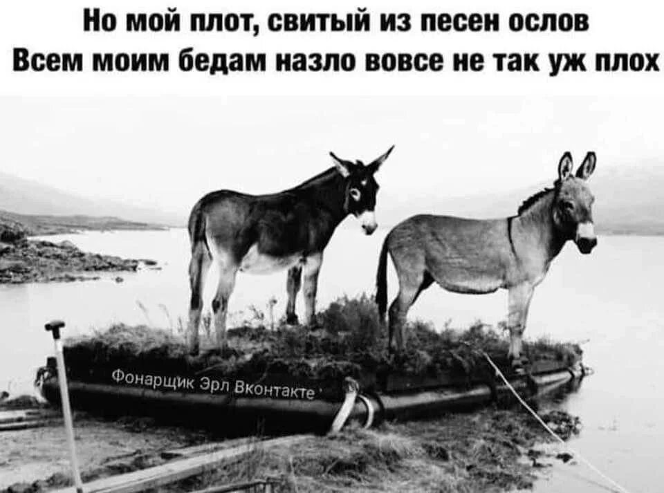 Грустные цитаты для подростков. Но мой плот свитый из песен. Цитаты строчки из песен. Мы покидаем начальную школу слова. Плот текст песни.