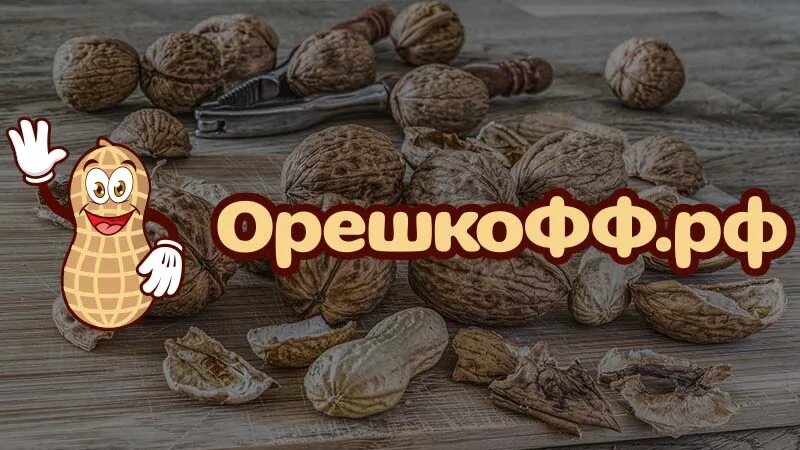 Орешкофф рф заказ по интернету. Орешкофф. Орешкофф.РФ. Орешкофф.РФ заказ. Логотип продажа орехов.