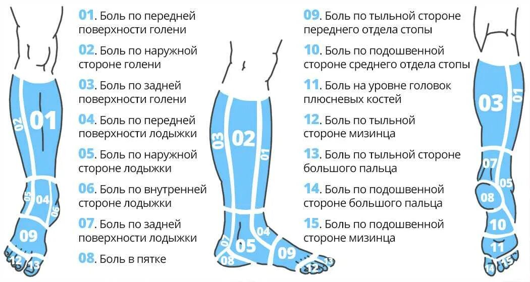 Почему быстро растут ноги. Область голени. Болит наружная сторона голени. Боль в голени с наружной стороны. Болит нижняя часть ноги.