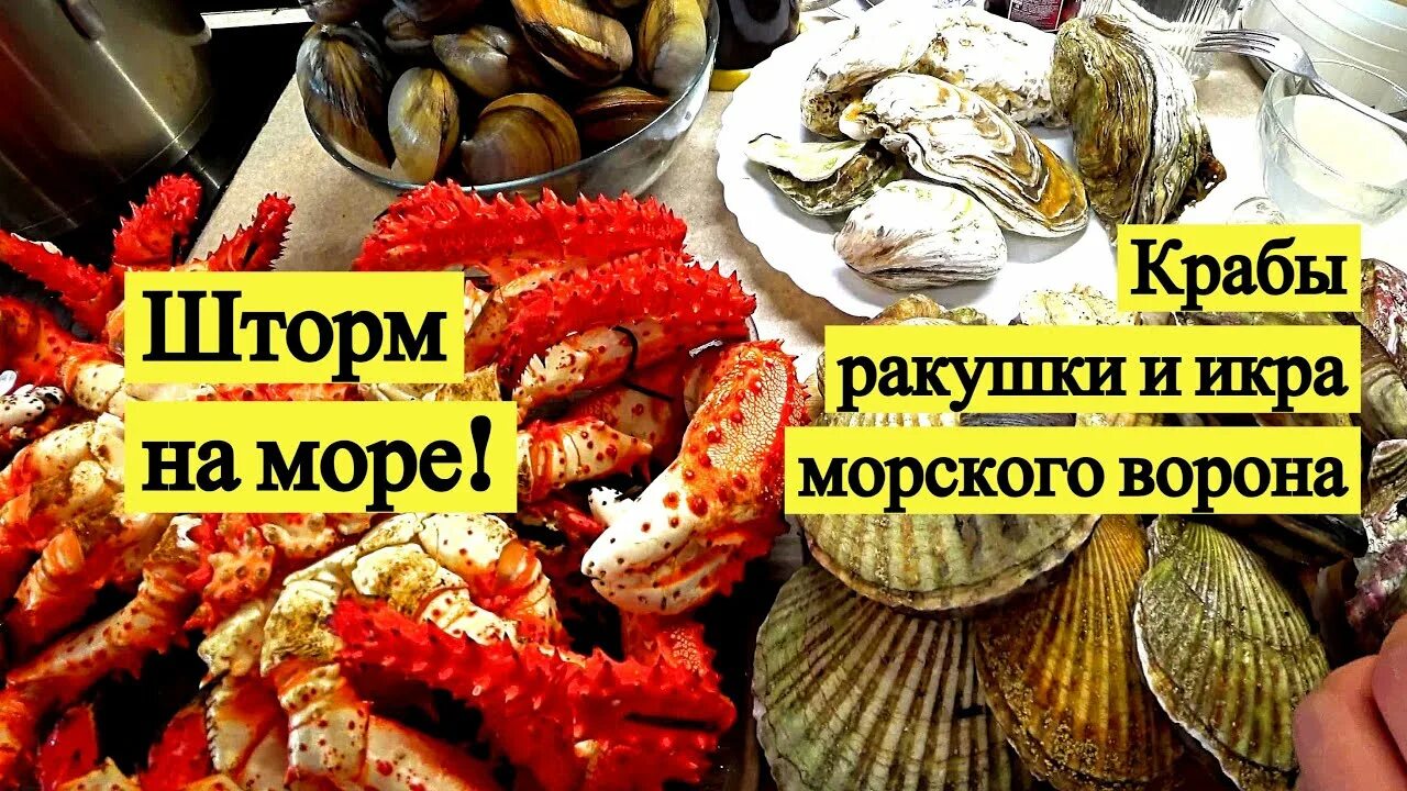 Устрицы крабы моллюски. Морепродукты охотского моря. Крабы охотского моря. Камчатский королевский краб живой. Глубоководный камчатский краб.