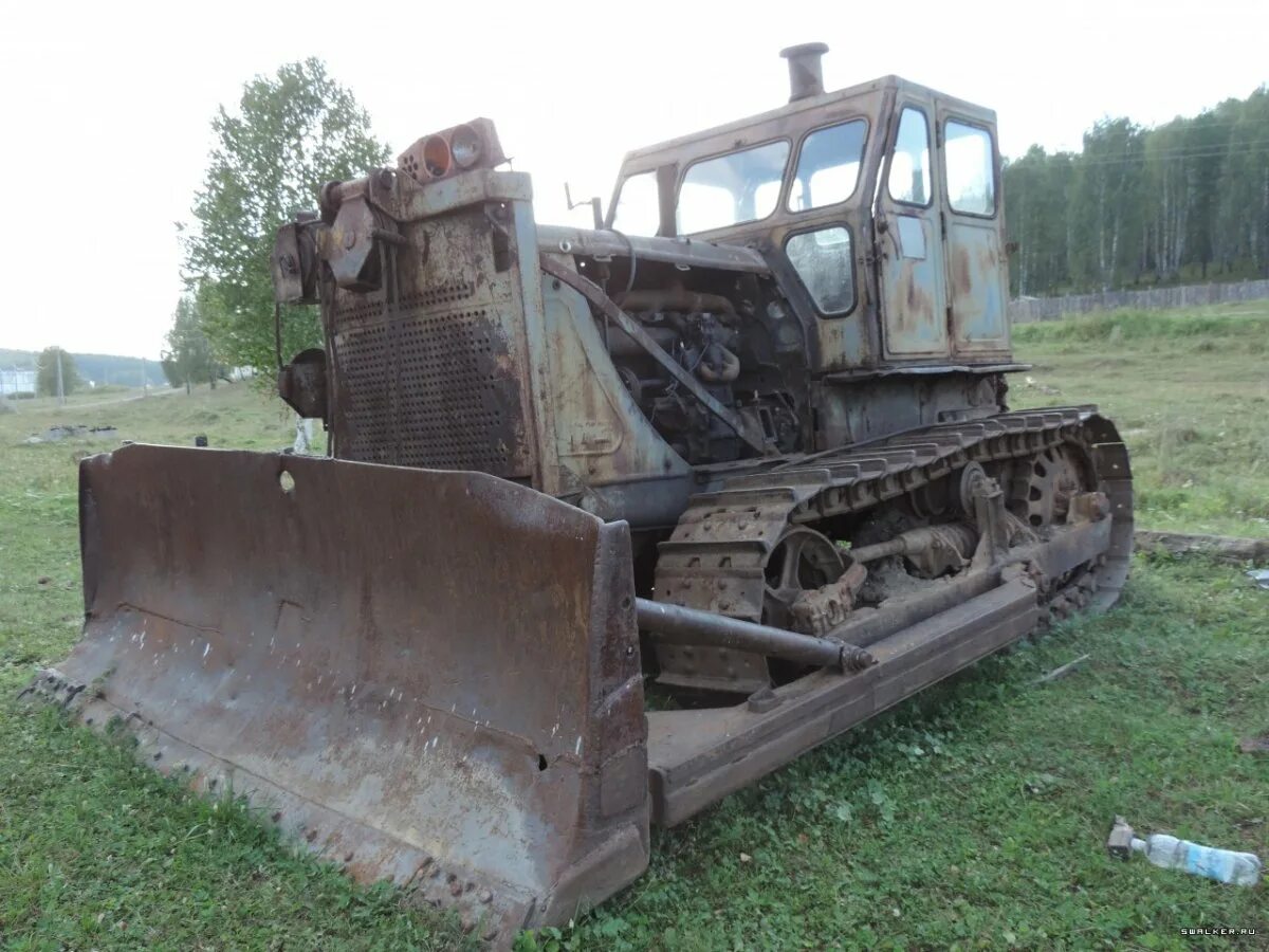 Включи т 100