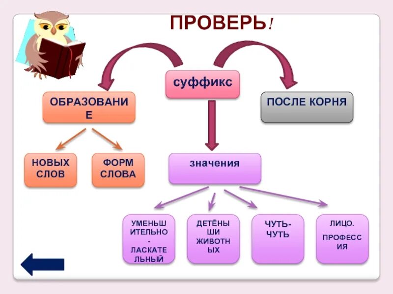 Суффикс в слове стать. Кластер суффикс. Кластер по теме суффикс. Схема суффиксов. Функции суффиксов.