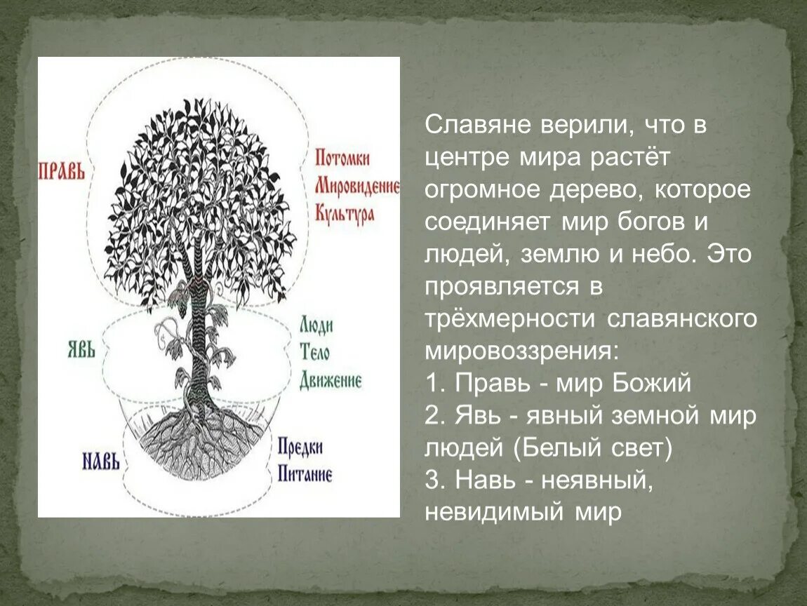 Мировое Древо. Мировое дерево у славян. Образ мирового дерева. Древо в славянской мифологии. Что значит древа