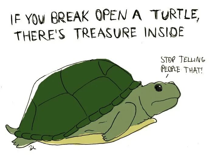 Turtle random это модули