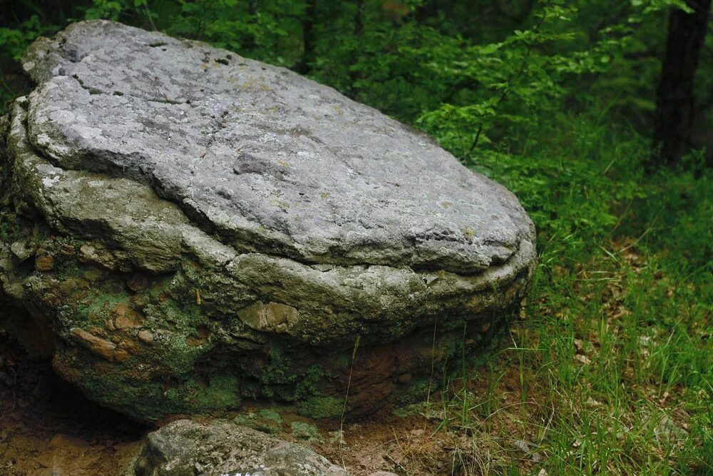 Каменные грибы. Каменные грибы. Грибы на камнях. Каменный гриб кизилсу. Гриб валуны фото.