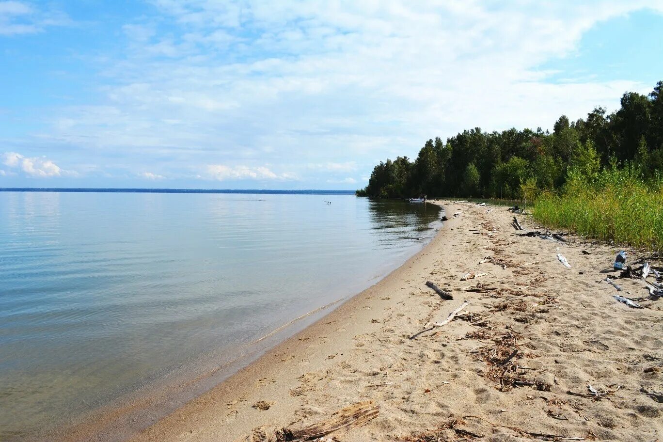 Обское море Новосибирск. Обское водохранилище Бердск. Обское водохранилище Новосибирск пляж. Обское водохранилище пляж Бердск. Обь отдых