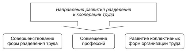 Направления совершенствования разделения и кооперации труда. Совершенствование разделения труда. Совершенствование форм разделения труда. Направления развития форм кооперации труда. Направления кооперации