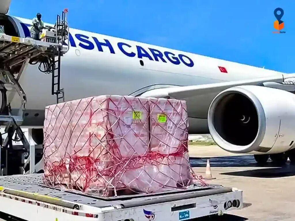 Turkish Cargo Airlines. Туркиш карго самолет вид снизу. Airlines tracking