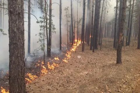 Забайкальский край проблема