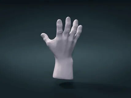 2 3 hands