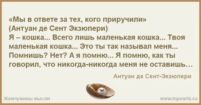 Мы в ответе за тех кого мы приручили. Мы в ответе за тех кого приручили высказывания. Мы в ответе кого приручили кто сказал. К чему снится дочь.