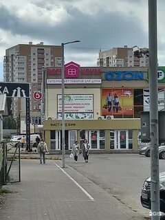 Хамелеон калининград
