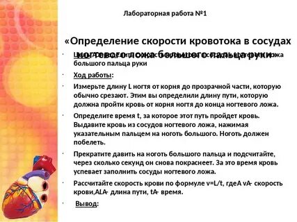 Скорость кровотока в ногтевом ложе