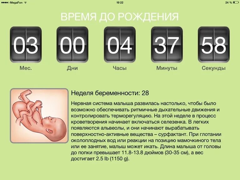 30 месяцев сколько. Вес на 28 неделе беременности. Вес ребёнка в 28 недель беременности. Вес плода на 27-28 неделе беременности. Вес ребёнка в 27 недель беременности.