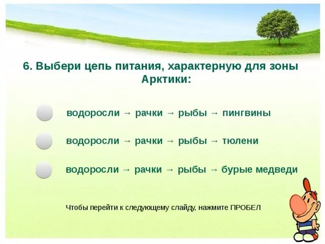 Цепь питания арктической пустыни 4 класс схема Цепь питания водоросли рыбы белые медведи: найдено 89 изображений