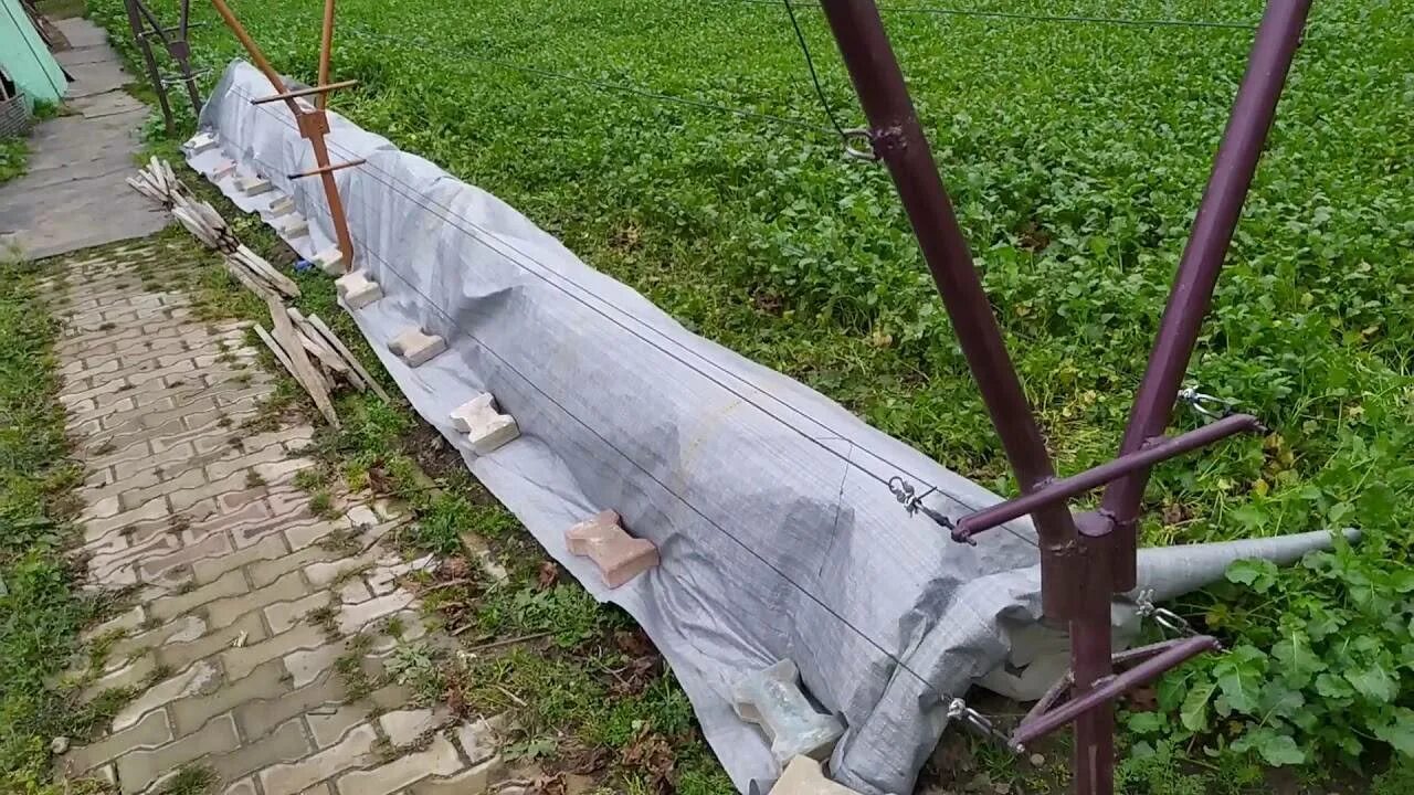 Когда снимать укрытие с винограда в подмосковье. Укрытие винограда спанбондом. Когда снимать укрытие с винограда в подмосковье. Укрытие винограда осенью в подмосковье. Когда снимать укрытие с винограда в подмосковье.