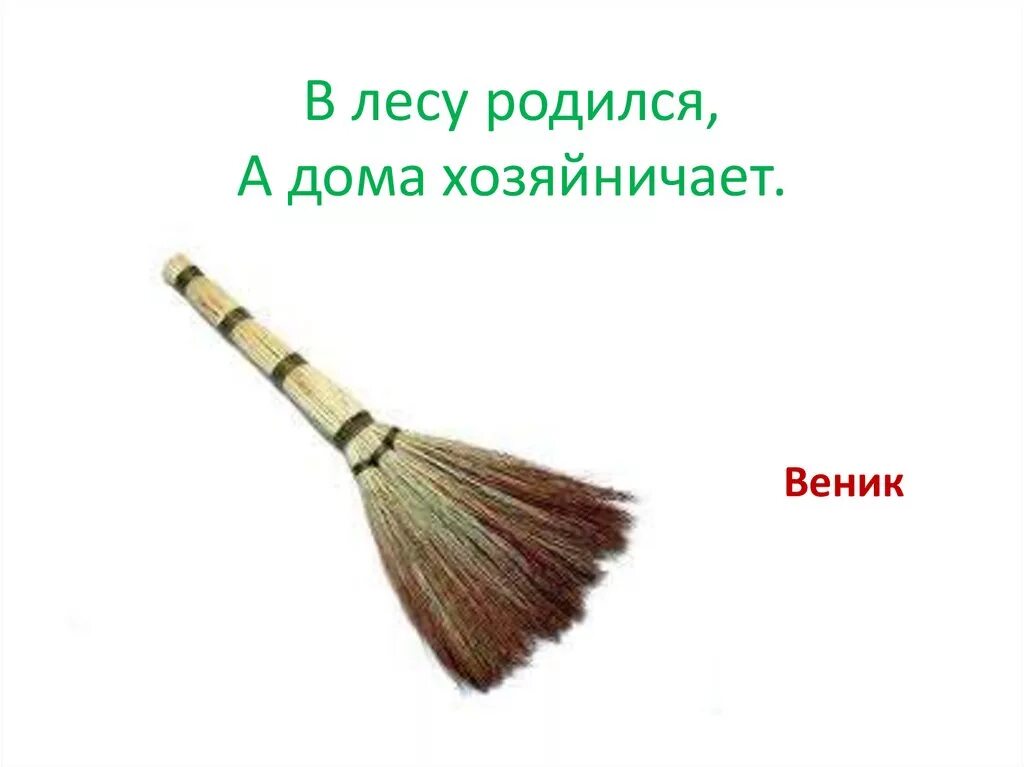 Сочинение про веник по русскому языку. Веники песня текст. Сочинение про веник в юмористическом стиле. Веники из трав. Как называется веник на букву р.