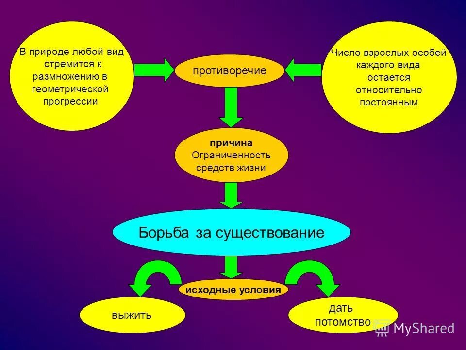 геометрическая размножение размножение прогрессия. размножение в геометрической прогрессии. геометрическая прогрессия в биологии. геометрическая прогре.