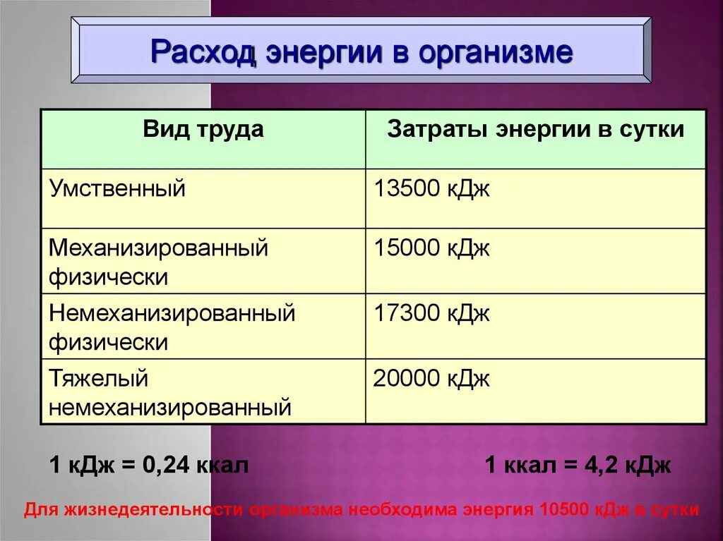 Запас энергии дж. Затраты энергии в организме. Расход энергии в организме. Расход энергии в организме человека. Затраты энергии в организме человека.