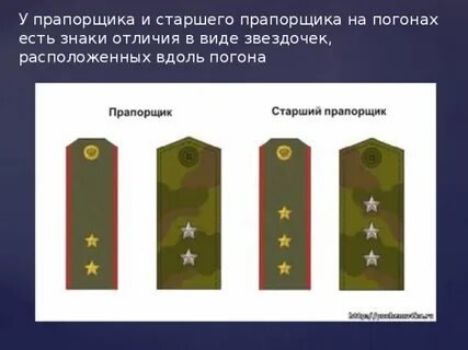 Задания прапорщика