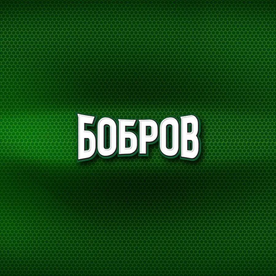 Сородичи бобра. Бобр или бобёр как правильно. Бобер строитель логотип. Бобр карточка для детей. Два бобра магазин.