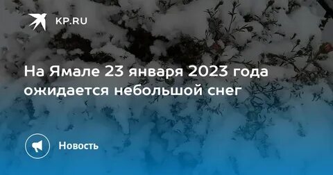 Салехард осадки