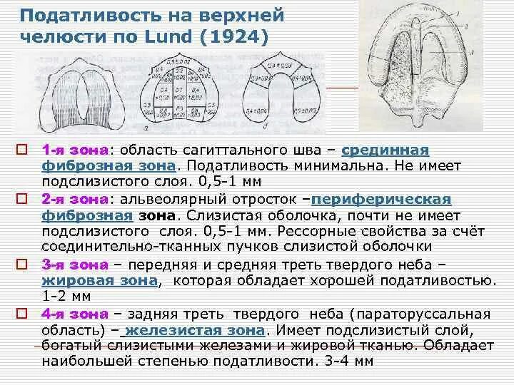 Зоны податливости слизистой оболочки верхней челюсти по Люнду. Зоны податливости слизистой. Зоны податливости по Люнду. Классификация податливости слизистой оболочки по Люнду.